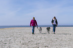 womans with Galgo Espanols