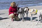 woman with Galgo Espanols