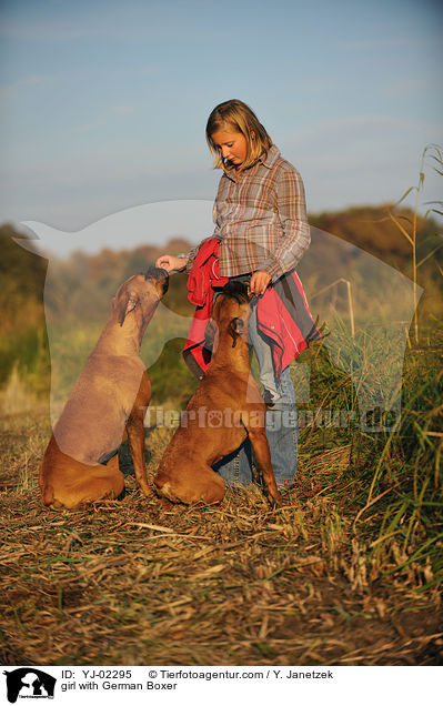 Mdchen mit Deutschen Boxern / girl with German Boxer / YJ-02295