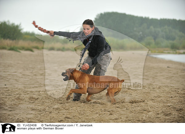 Frau spielt mit Deutschem Boxer / woman plays with German Boxer / YJ-02408
