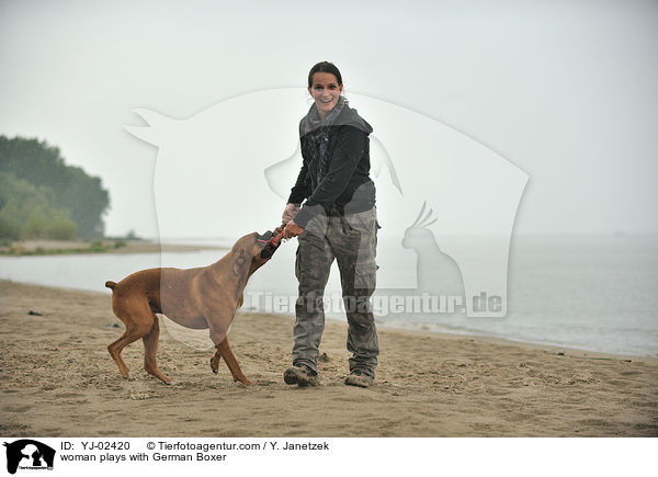 Frau spielt mit Deutschem Boxer / woman plays with German Boxer / YJ-02420