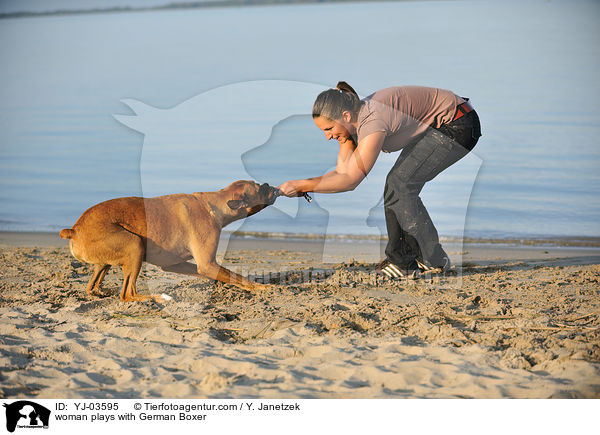 Frau spielt mit Deutschem Boxer / woman plays with German Boxer / YJ-03595