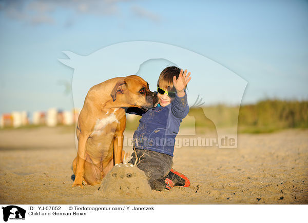 Kind und Deutscher Boxer / Child and German Boxer / YJ-07652