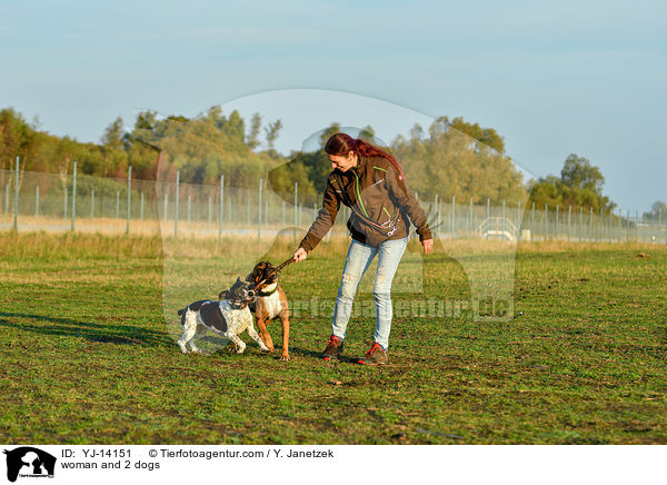 Frau und 2 Hunde / woman and 2 dogs / YJ-14151