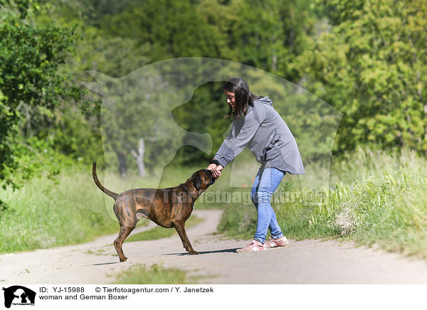 Frau und Deutscher Boxer / woman and German Boxer / YJ-15988