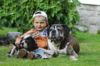 child with dogs