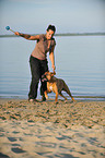 woman plays with German Boxer