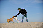 man and 2 dogs