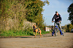 man and German Boxer