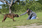 woman and German Boxer