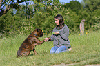 woman and German Boxer