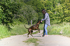 woman and German Boxer