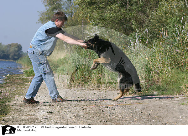 Mann spielt mit Hund / Man and dog / IP-01717