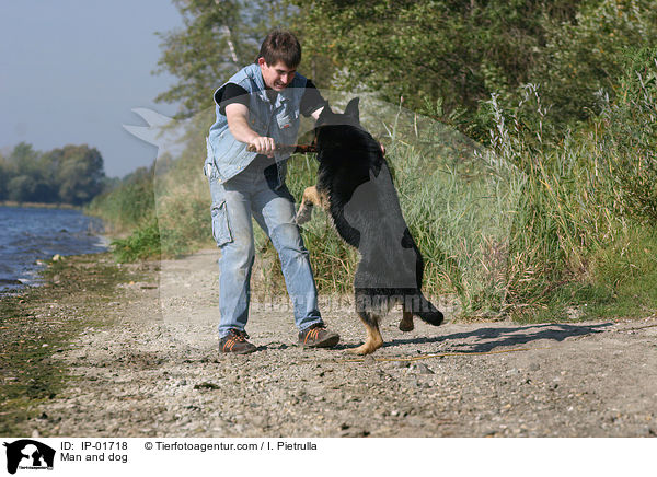 Mann spielt mit Hund / Man and dog / IP-01718
