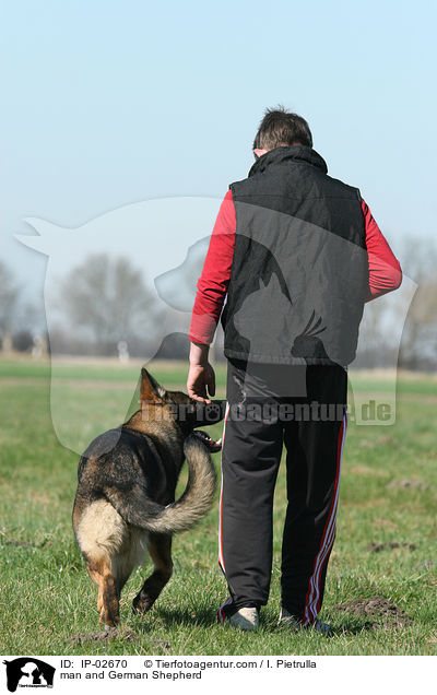 Mann und Deutscher Schferhund / man and German Shepherd / IP-02670