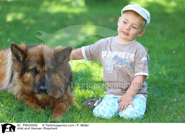 Kind und Deutscher Schferhund / child and German Shepherd / PM-05585