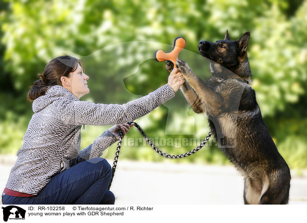 junge Frau spielt mit DDR Schferhund / young woman plays with GDR Shepherd / RR-102258