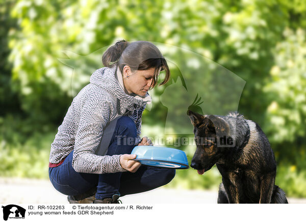 junge Frau f�ttert DDR Sch�ferhund / young woman feeds GDR Shepherd / RR-102263