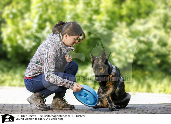 young woman feeds GDR Shepherd / RR-102266