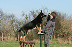 man and German Shepherd