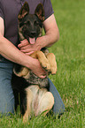 man and German Shepherd