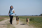 jogger with German Shepherds