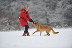playing German Shepherd