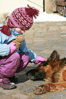 child and German Shepherd