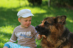 child and German Shepherd