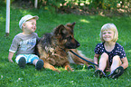 childs and German Shepherd