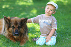 child and German Shepherd