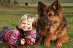 child and German Shepherd
