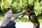 young woman plays with GDR Shepherd