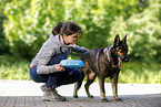 young woman feeds GDR Shepherd