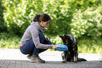 young woman feeds GDR Shepherd