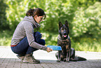 young woman feeds GDR Shepherd