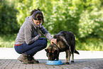 young woman feeds GDR Shepherd