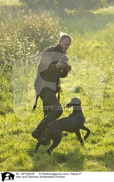 Mann und Deutsch Kurzhaar / man and German shorthaired Pointer / AP-09429