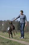 woman and German shorthaired Pointer