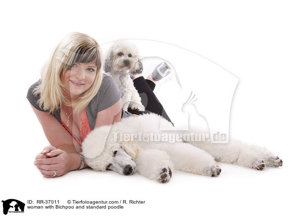 woman with Bichpoo and standard poodle / RR-37011