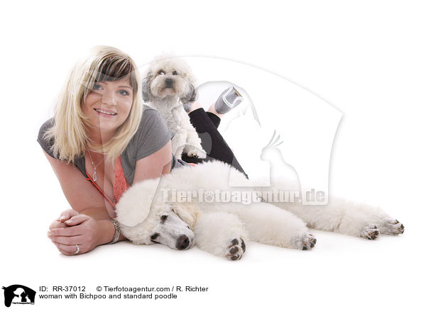 woman with Bichpoo and standard poodle / RR-37012
