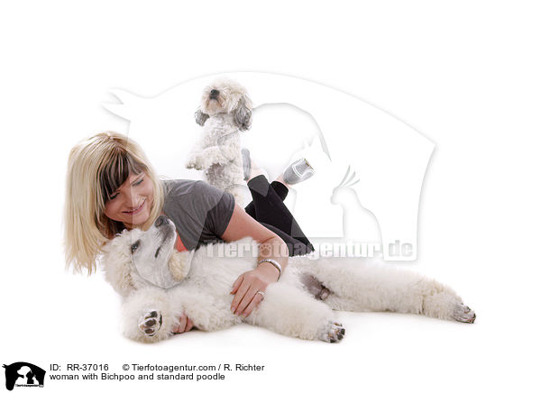 woman with Bichpoo and standard poodle / RR-37016