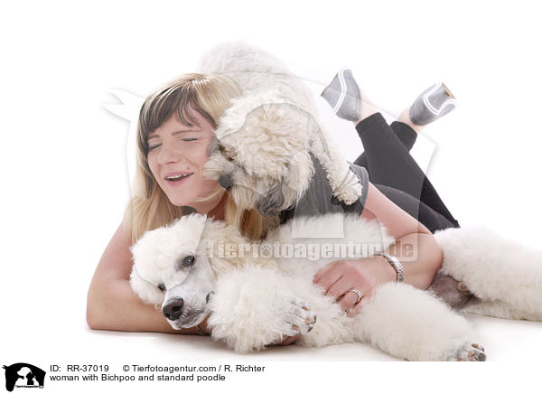 woman with Bichpoo and standard poodle / RR-37019