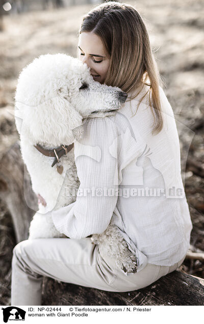 woman with Giant Poodle / NP-02444