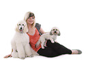 woman with Bichpoo and standard poodle