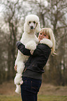 woman and Giant Poodle