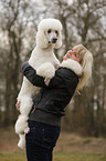 woman and Giant Poodle