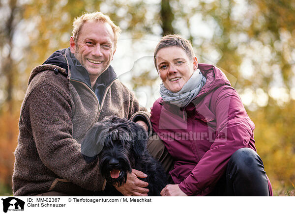 Riesenschnauzer / Giant Schnauzer / MM-02367