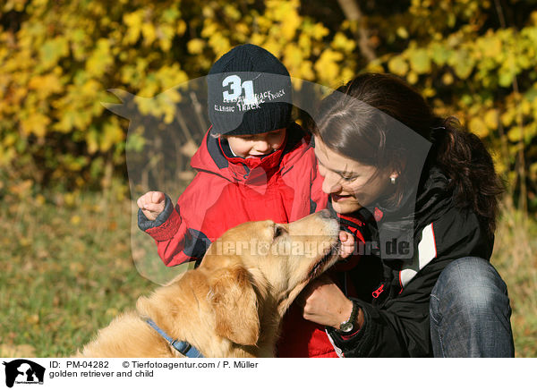 Golden Retriever und Kind / golden retriever and child / PM-04282