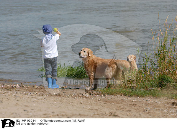 Kind und Golden Retriever / kid and golden retriever / MR-03914